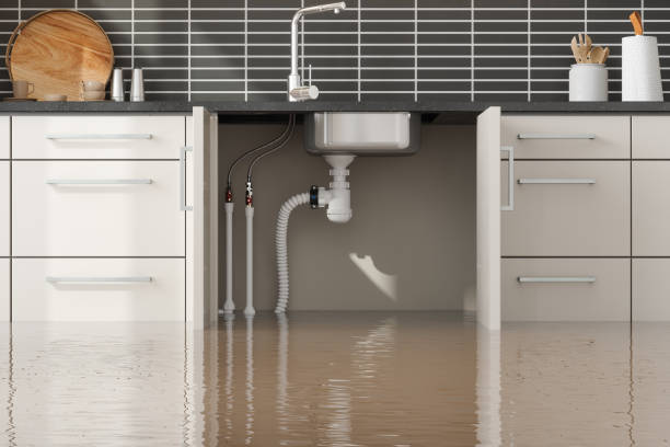 Best Ceiling water damage repair  in Columbus, OH