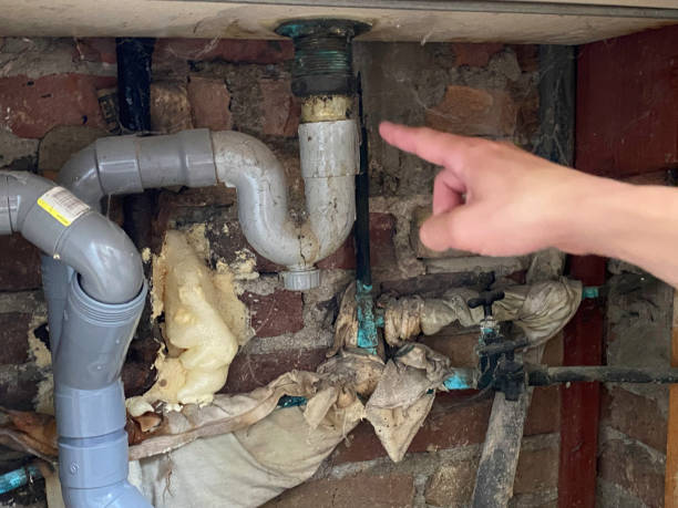Best Water damage restoration specialists  in Columbus, OH